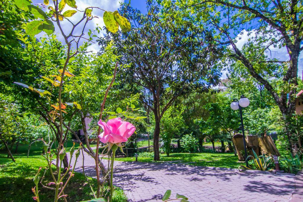 Hotel Azaleia Gramado